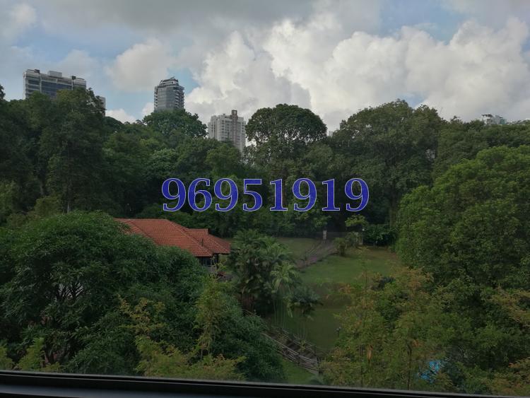 Goodwood Gardens (D10), Apartment #239914611